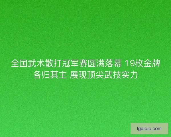 全国武术散打冠军赛圆满落幕 19枚金牌各归其主 展现顶尖武技实力
