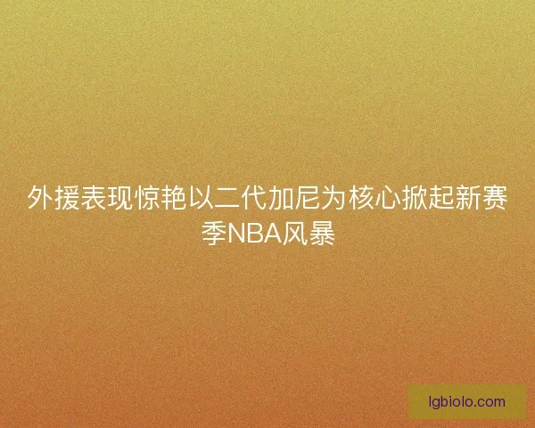 外援表现惊艳以二代加尼为核心掀起新赛季NBA风暴